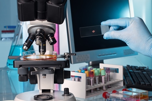 fzmb GmbH - Forschungszentrum für Medizintechnik und Biotechnologie