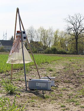 Insektenfalle IASP klein