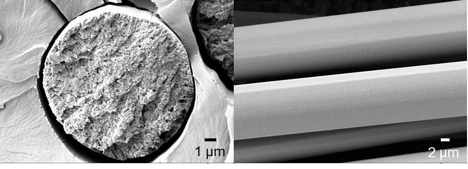 DITF EndlosfilamenteCellulose Chitin Beitrag2